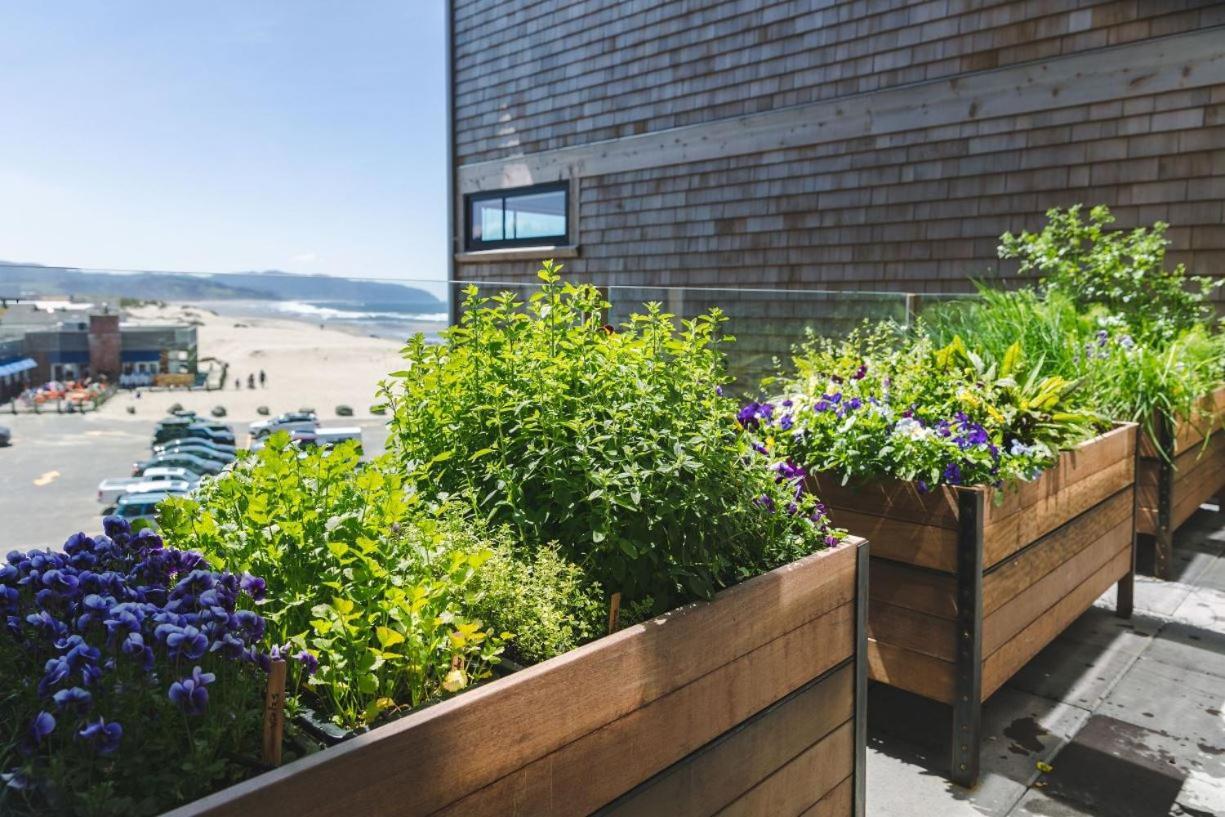 Headlands Coastal Lodge & Spa Пасифик Сити Екстериор снимка